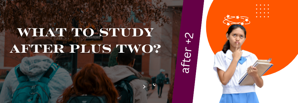 What to study after plus two ?